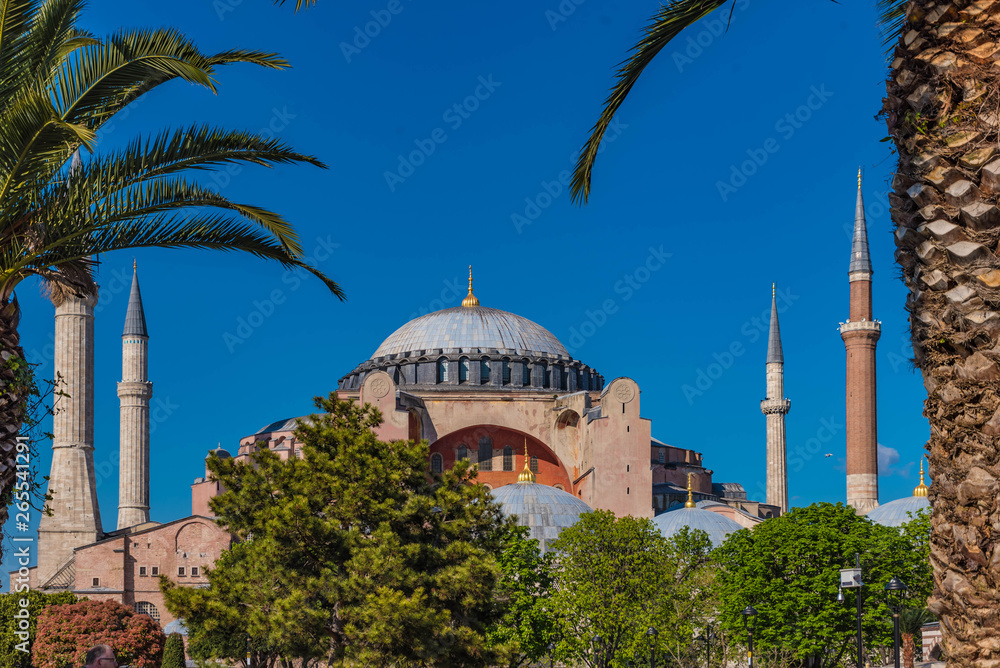 Obraz premium Hagia Sophia Istanbul