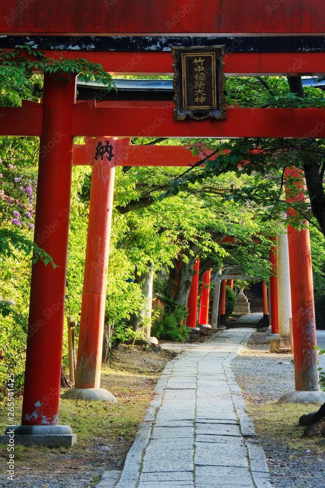 Stone Path and Japanese Arches Stone Path and Japanese Arches
