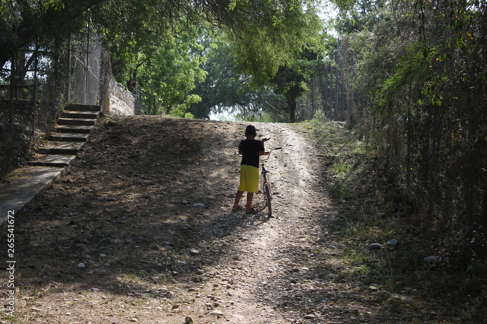 Camino