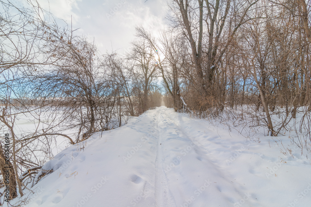 Snowy wintery nature forest foot path through forest - cross country skiing, hiking, fat tire bike recreation -in the Minnesota Valley National Wildlife Refuge