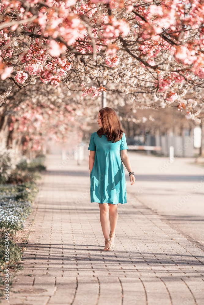 Young beautiful woman is walking in blooming sakura avenue. Spring woman in cherry flower bloom. Happy mothers day or happy woman day. Outdoor lifestyle. Freedom concept.