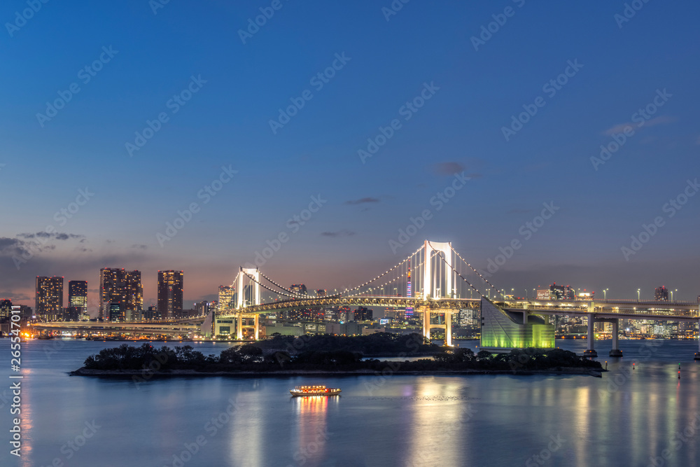 Tokyo city skyline lit up at night, Tokyo, Japan Tokyo city skyline lit up at night, Tokyo, Japan