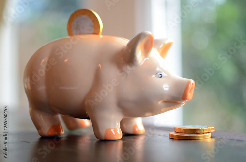 Coin in slot of piggy bank photo