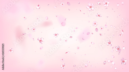 Nice Sakura Blossom Isolated Vector. Tender Flying 3d Petals Wedding Pattern. Japanese Beauty Spa Flowers Illustration. Valentine, Mother's Day Beautiful Nice Sakura Blossom Isolated on Rose