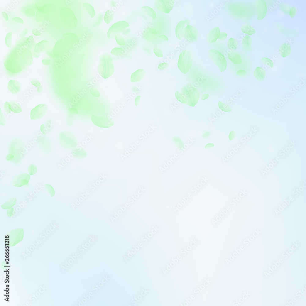 Green flower petals falling down. Bizarre romantic Green flower petals falling down. Bizarre romantic
