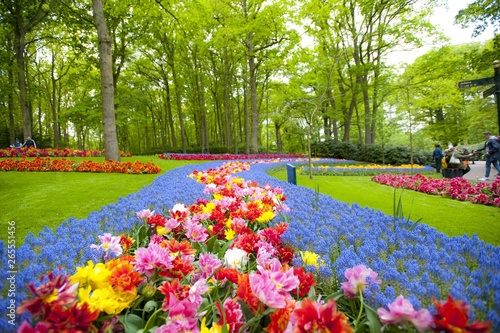 Colorful spring tulips and flowers at Keukenhof Gardens Netherlands 