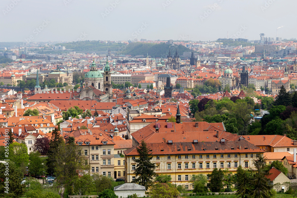 Spring Prague City with St. Nicholas' Cathedral and green Nature with flowering Trees from the Hill Petrin, Czech Republic