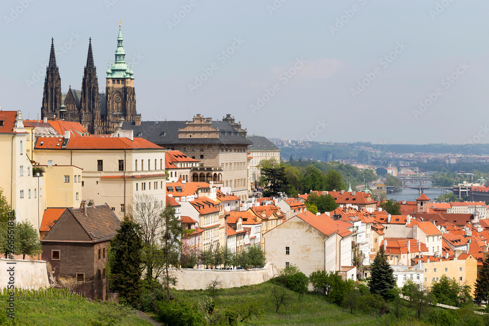 Spring Prague City with gothic Castle and the green Nature and flowering Trees from the Hill Petrin, Czech Republic