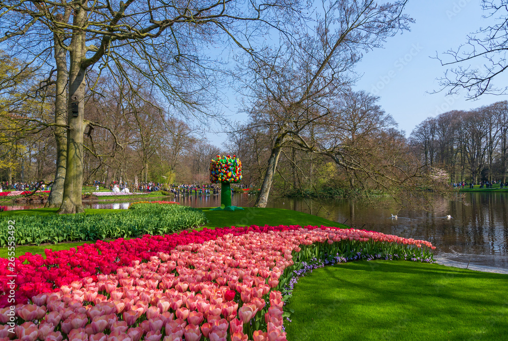Outdoor scenery of colourful picturesque red and pink blooming tulips garden on waterside and background of lake, vivid sculpture and trees in Spring season at Keukenhof Gardens in Netherlands.
