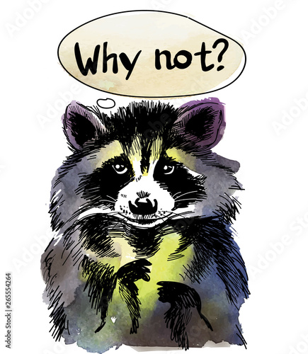 Why not? Stylish print, postcard with a raccoon. Cute raccoon drawing by hand in vintage style, children's drawing.
