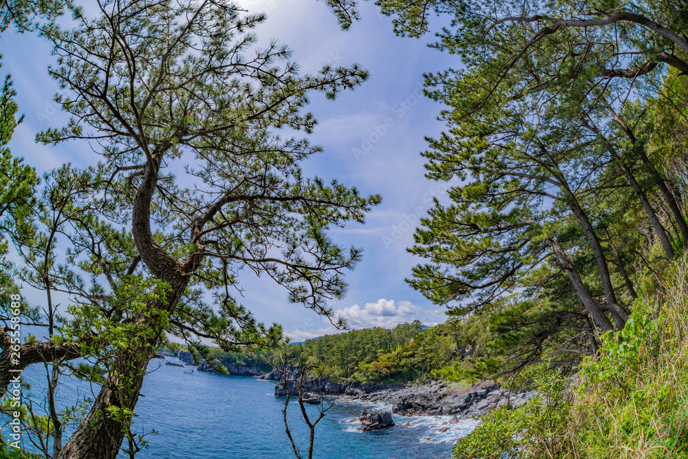 静岡県伊東市　城ヶ崎海岸　魚眼レンズ