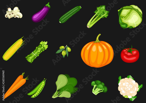 Collection of vegetables on a black background