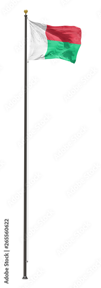 Madagascar flag on a pole, isolated on a white background Madagascar flag on a pole, isolated on a white background