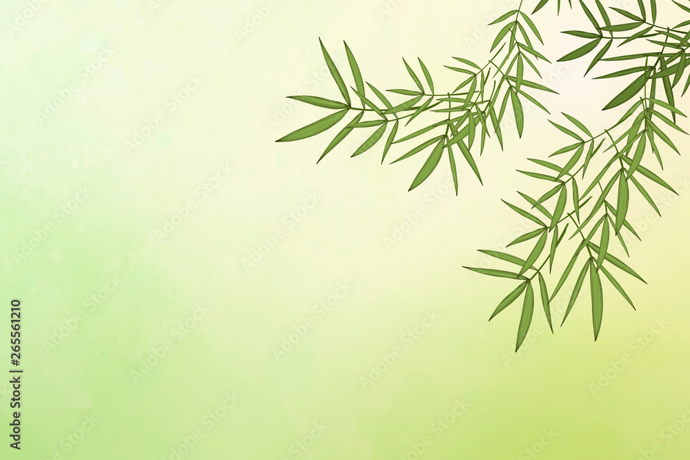Naklejka premium Bamboo leaf background