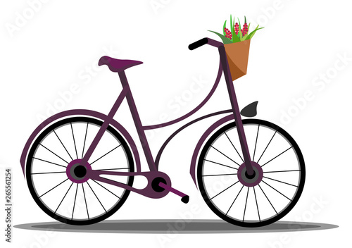 bicycle with flower basket vector or color illustration