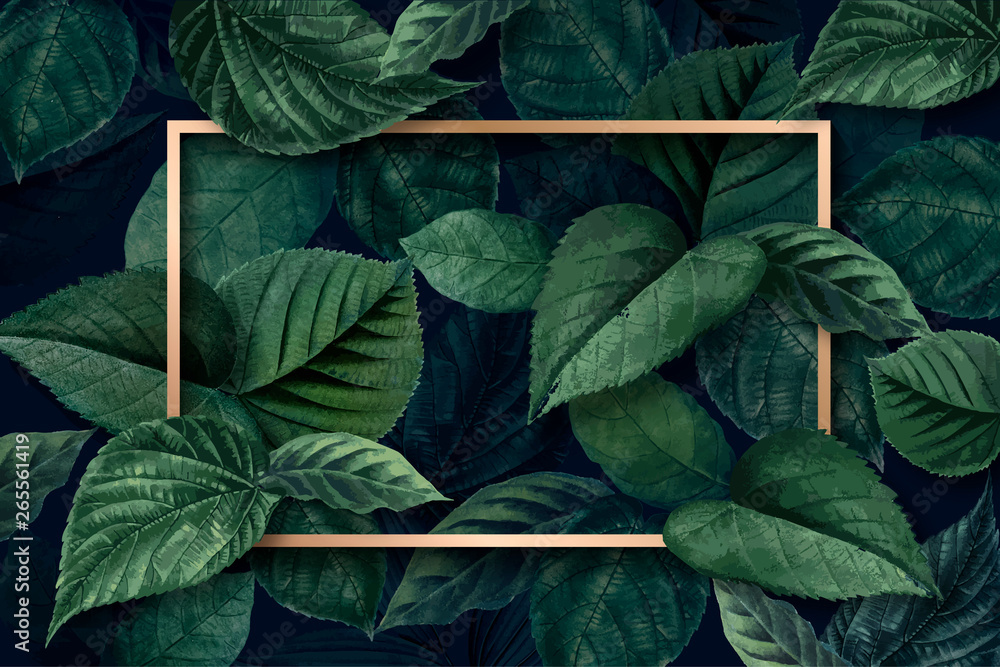 Fototapeta Kreatywny układ wykonany z tropikalnych liści w ramce.