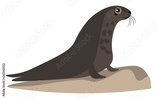 A brown eager looking seal vector or color illustration