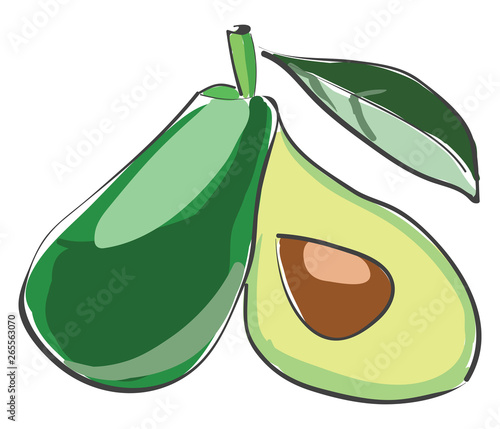 Small avocado vector or color illustration