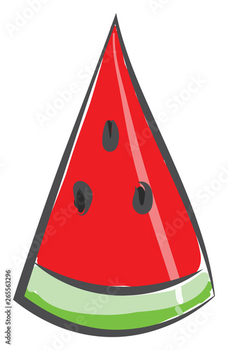 A tasty watermelon brooch vector or color illustration