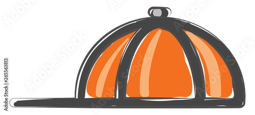 Painting of an orange cap vector or color illustration