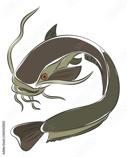 Painting of a grey-colored catfish vector or color illustration