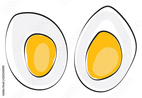 Foto Cut slices of a hard boiled egg vector or color illustration