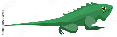 A crawling green iguana/ Iguana iguana/wild reptile vector or color illustration