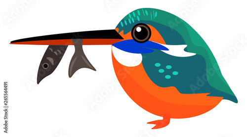 Painting of a colorful kingfisher with a fish trapped in its beak vector or color illustration