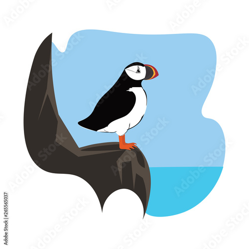 Portrait of a puffin bird perched on the rock over a background where the line meets the sea vector or color illustration
