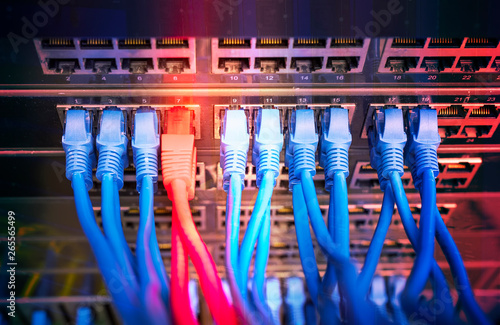 blue and red network cables connected to switch in data center