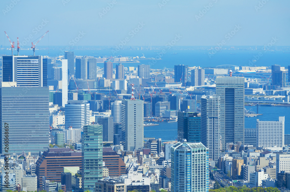 Obraz premium 東京風景 2019 六本木から望遠で望む湾岸エリア 晴海 豊洲方面