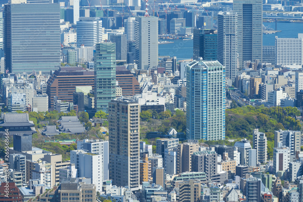 東京風景　2019　六本木から望遠で望む浜松町　晴海方面
