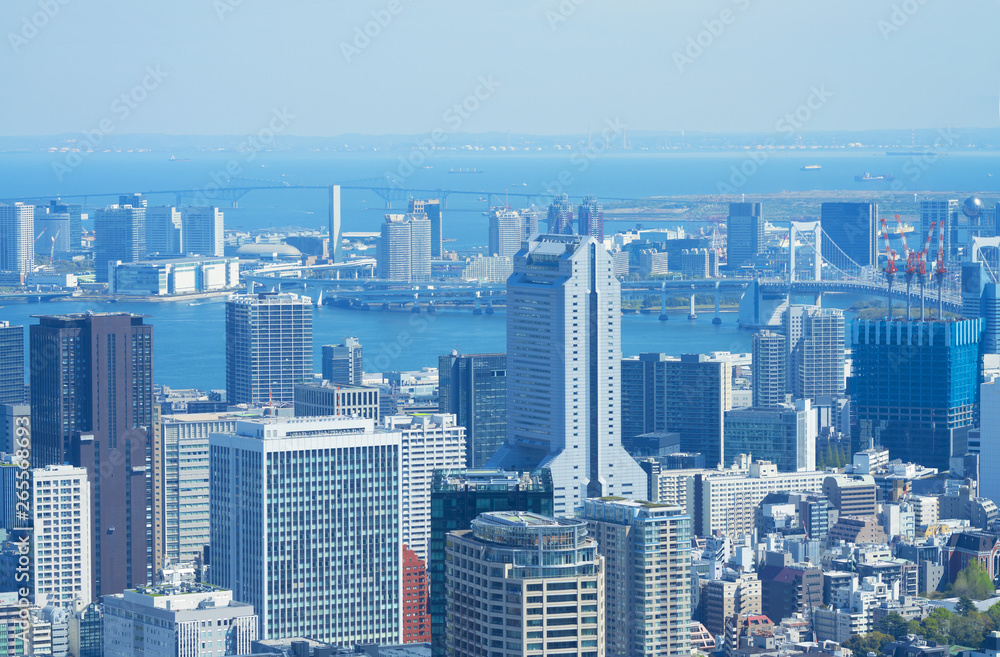 東京風景　2019　六本木から望遠で望む湾岸エリア　晴海　豊洲方面