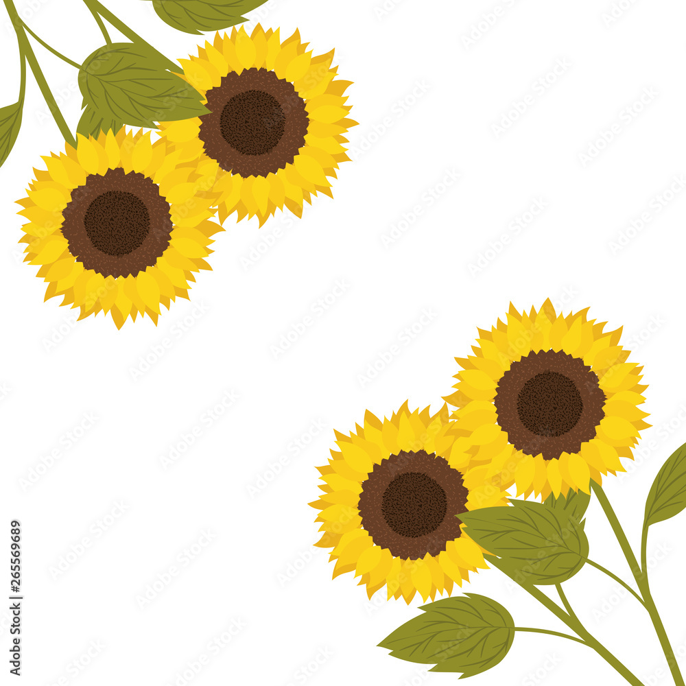 pattern of sunflowers isolated icon pattern of sunflowers isolated icon