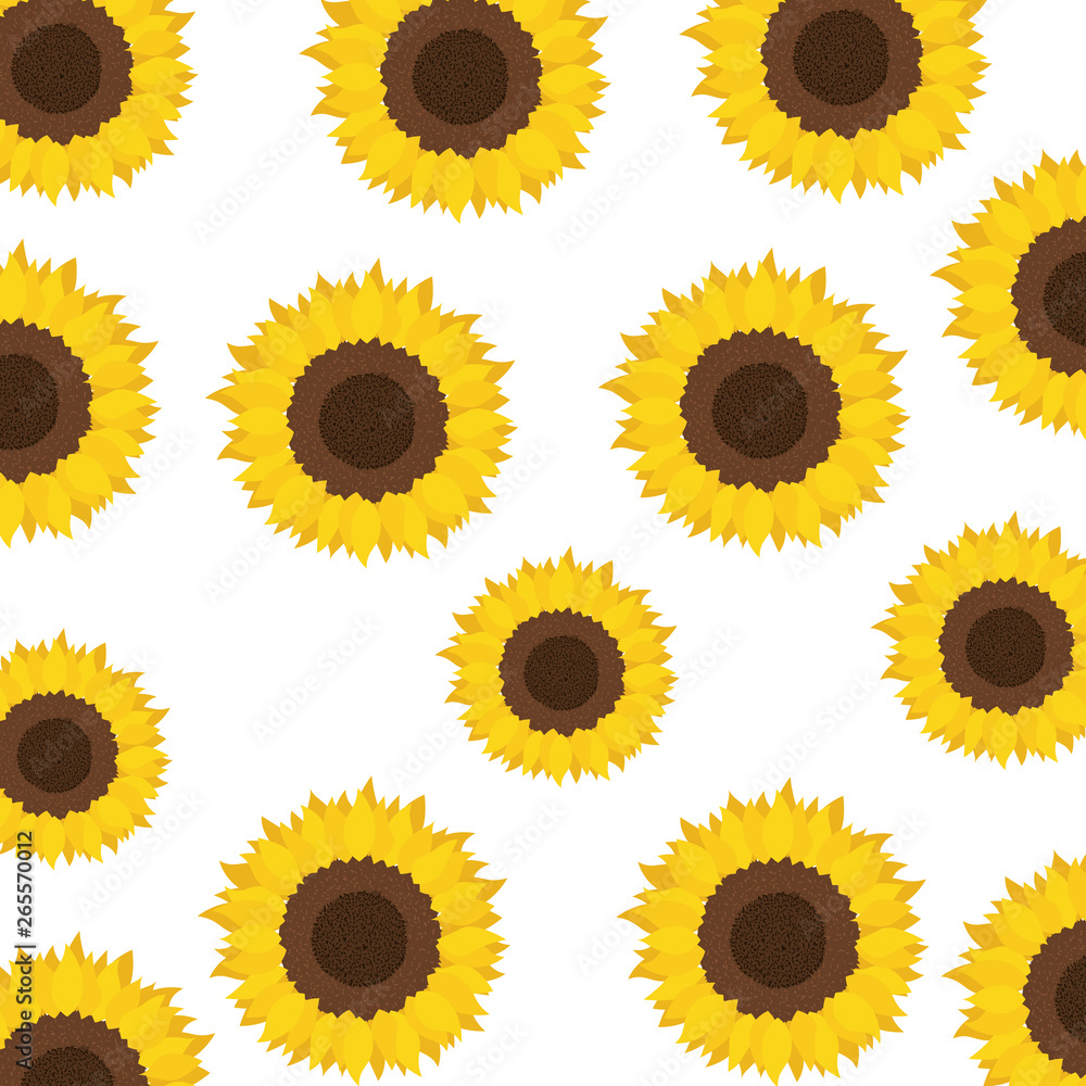 pattern of sunflowers isolated icon pattern of sunflowers isolated icon