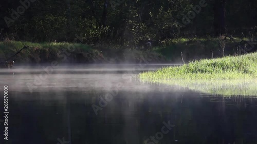 fog moves over the water, summer early morning, Russia, smoke on river Polya photo