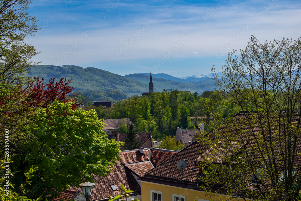 Landscape shot Steyr in Upper Austria / Austria.