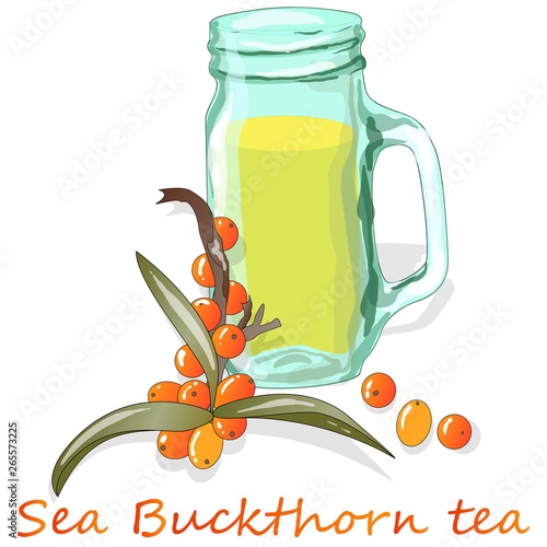 Cup of sea buckthorn tea. Branch of sea buckthorn berries with leaves. Vector illustration set on white background.