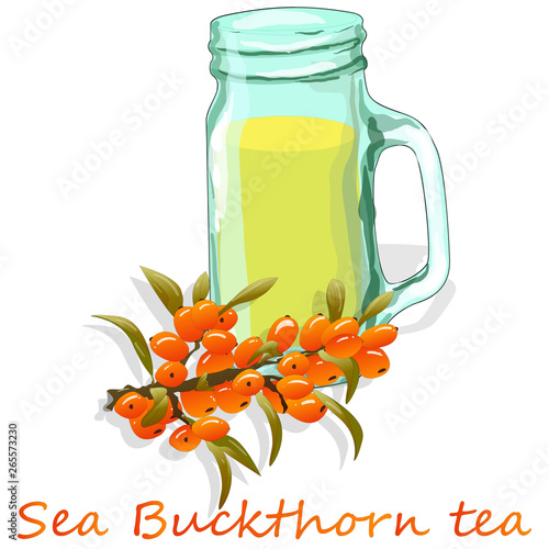 Cup of sea buckthorn tea. Branch of sea buckthorn berries with leaves. Vector illustration set on white background.