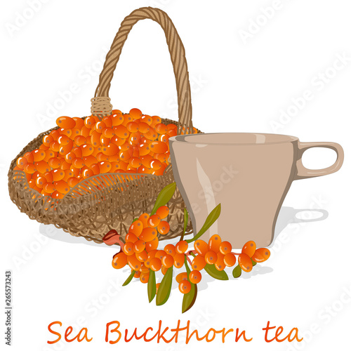 Cup of sea buckthorn tea. Branch of sea buckthorn berries with leaves. Vector illustration set on white background.