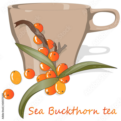 Cup of sea buckthorn tea. Branch of sea buckthorn berries with leaves. Vector illustration set on white background.