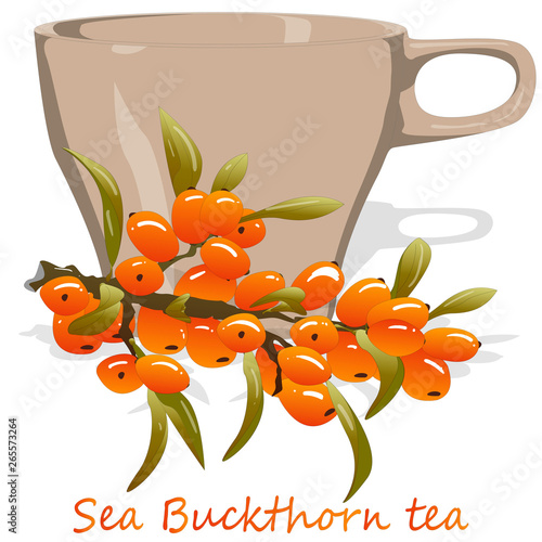 Cup of sea buckthorn tea. Branch of sea buckthorn berries with leaves. Vector illustration set on white background.