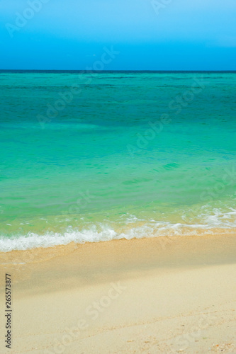 Sea view from tropical beach with clear sky. The paradise beach in the summer of the Andaman Sea  Koh Lipe  Satun  Thailand. Bright blue sky  emerald sea  waves on the sand  vertical image of the back