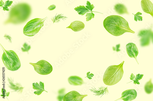 Flying  spinach, parsley and dill leaves over on light  background - Image.