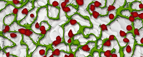 Foto Seamless green thorny vines with red berries pattern on white background