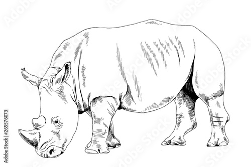 attacking big rhinoceros drawn by hand on a white background separated tattoo