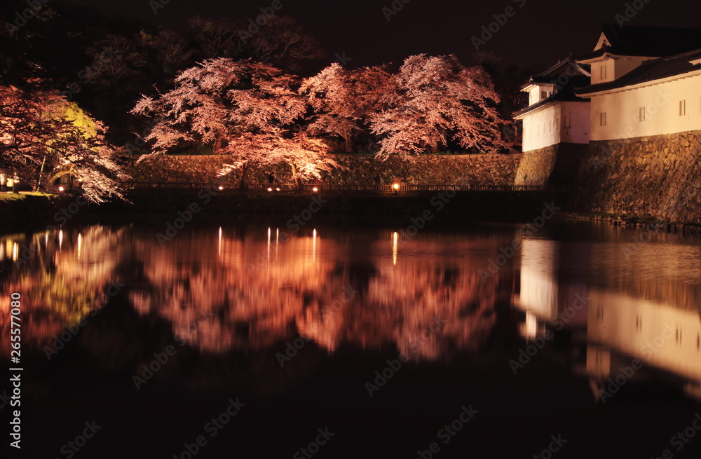 滋賀県彦根市の佐和口多聞櫓と夜桜ライトアップの様子とお堀に映るリフレクション