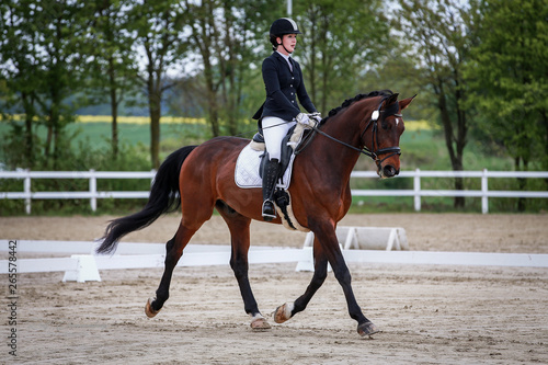 Horse with rider in dressage tournament trotting in limbo phase.. © RD-Fotografie
