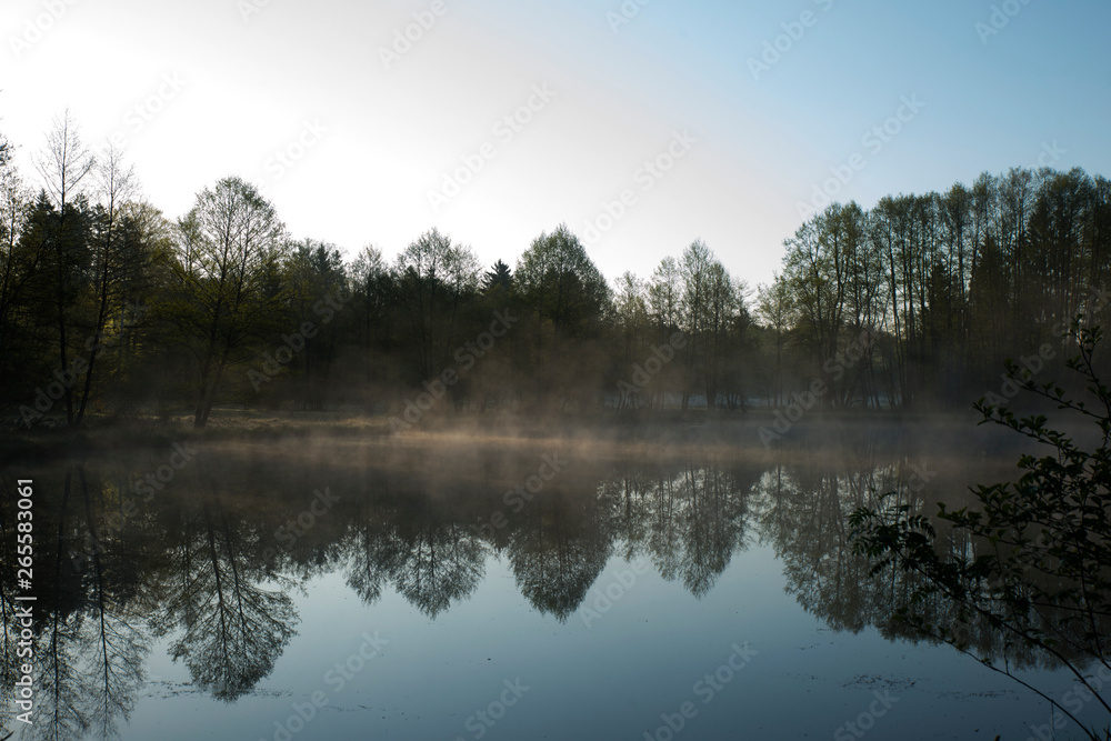 nature trees lake water grass landscape beautiful light rising sun