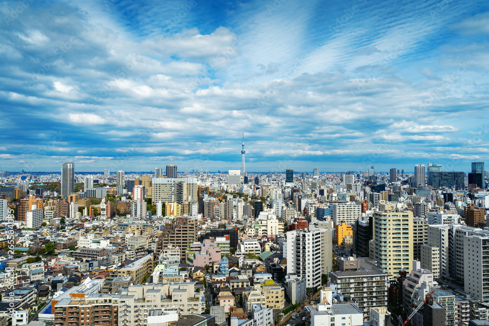 Panorama of Tokyo cityscape in Japan. Panorama of Tokyo cityscape in Japan.